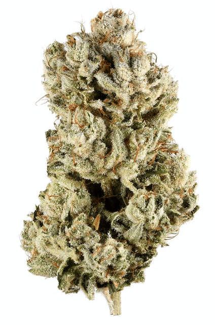 GG4
